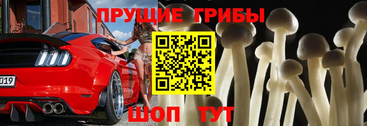 Псилоцибиновые грибы MAGIC MUSHROOMS  Псилоцибиновые грибы Psilocybe  Лесной  Вход с VPN 