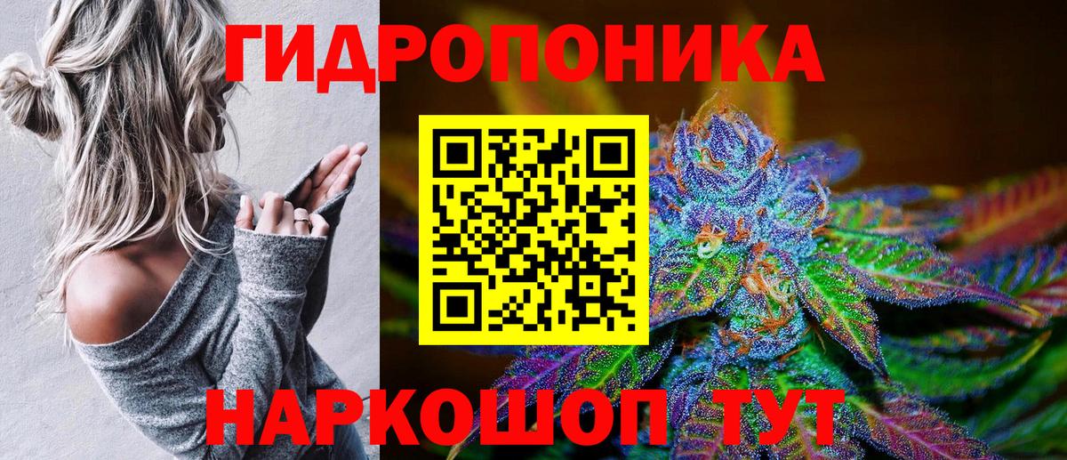 Конопля гибрид  Бошки Шишки планчик  Лесной  МАРИХУАНА семена  Вход с VPN  Бошки Шишки тримм 
